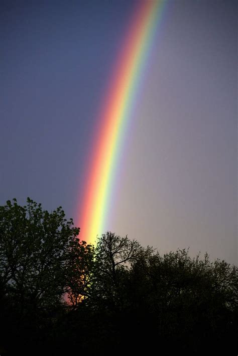 Ein Regenbogen Voller Überraschungen Aus Einem Alten Haus